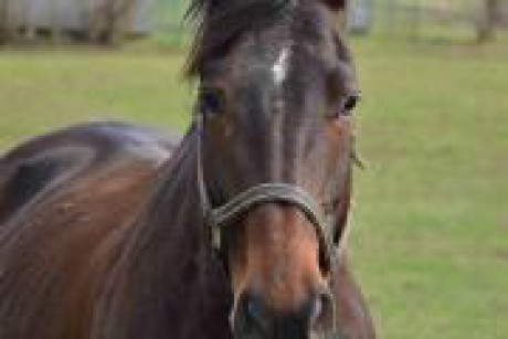 Vždyť vám to povídám